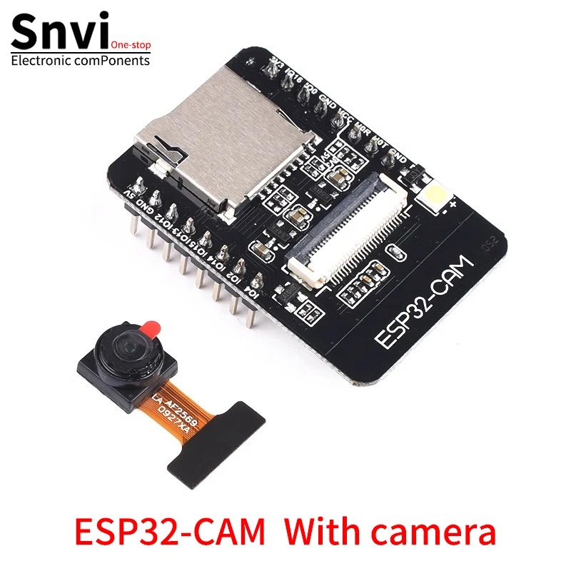 ESP 32